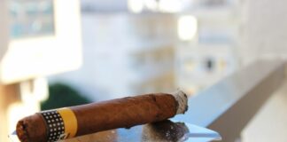 Zigarrenbohrer Edelstahl Test